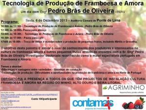 Palestra Produção de Framboesa e Amora