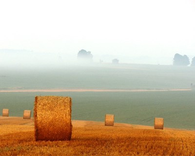 Parlamento Europeu publica documento sobre a Política de Desenvolvimento Rural da PAC