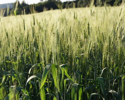 Parlamento Europeu publicou o estudo Carbon farming – Making agriculture fit for 2030