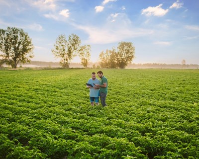 PepsiCO quer expandir práticas de agricultura regenerativa para 3 milhões de hectares até 2030