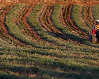Perspetivas Agrícolas da União Europeia 2023-2035