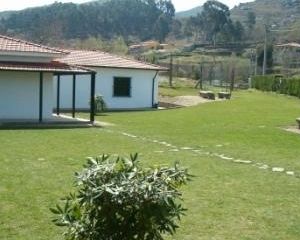 Perto de 50% dos alunos da Escola de Agricultura do Marco de Canazeves arranja emprego imediato