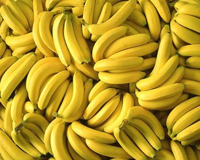 Pesticidas e bananas em debate no Parlamento Europeu
