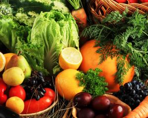 Plano Nacional de Recursos Genéticos Vegetais perto da conclusão