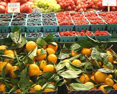 Plataforma Online para Eliminar Intermediários na Exportação de Produtos Agrícolas