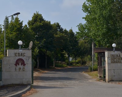 Politécnico de Coimbra experimenta substituição de herbicidas na agricultura biológica