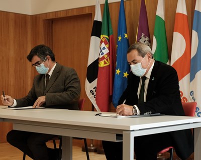 Politécnico de Coimbra reforça aposta na floresta em parceria com Florestgal