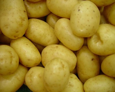 Porbatata irá criar uma marca própria coletiva para a batata de Portugal