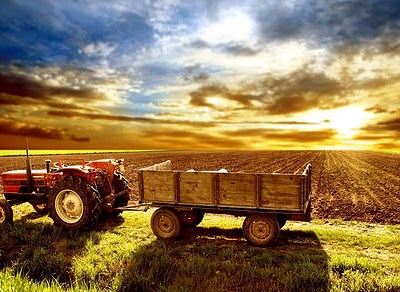 Portimão debate prevenção de acidentes na condução de máquinas agrícolas