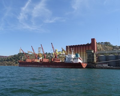 Porto de Lisboa: Movimentação de soja atinge um milhão de toneladas