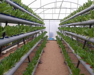 Porto recebe workshop sobre "Urban Agriculture"