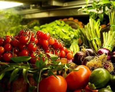 Portugal Agro 2016: a diversidade da agricultura nacional regressa a Lisboa