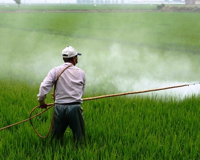 Portugal apresenta redução de 43% do uso de fitofármacos entre 2011 e 2018