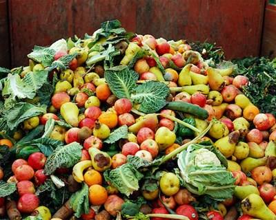 Portugal desperdiça milhões em lixo com potencial agrícola