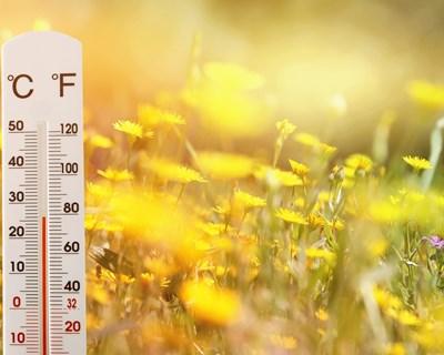 Portugal é o 14º país com melhor Desempenho Climático no CCPI 2021