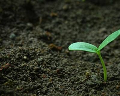 UE: Portugal é o país da UE com mais trabalhadores por conta própria na agricultura
