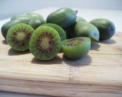 Portugal produz baby kiwis um mês antes do resto da Europa