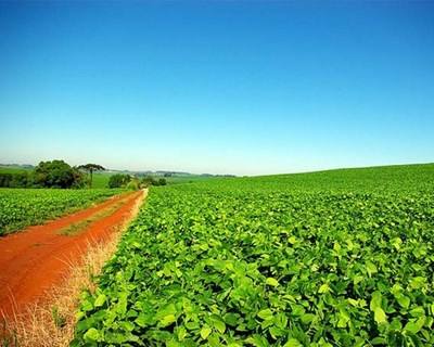 Portugal quer mais 2 mil jovens na agricultura