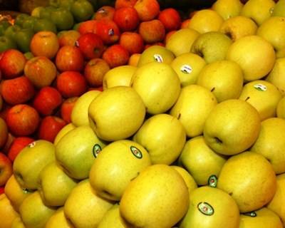 Portugal reforça cooperação com Cuba para facilitar exportações alimentares