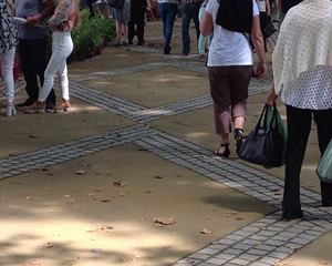 Primeira Feira dos Pequenos Frutos em Ponte de Lima atraiu visitantes espanhóis