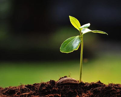 Primeiro curso da plataforma de qualificação da AJAP dedicado ao Empreendedorismo no Espaço Rural