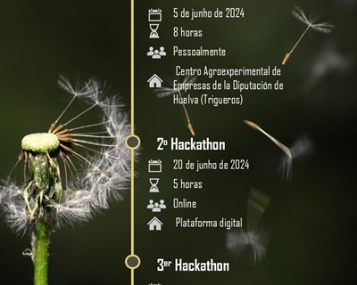 Projeto transfronteiriço europeu RAIA: primeiro hackathon