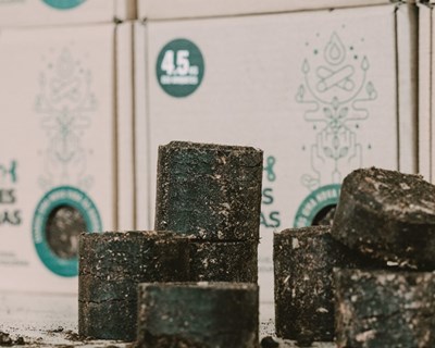 Prio, Delta e Ecobean criam briquetes e biodiesel a partir de borras de café