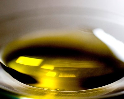 Produção de azeite nacional poderá enfrentar um bloqueio