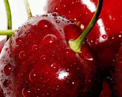 Produção de cereja do Fundão deverá atingir sete mil toneladas