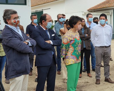 Produtores de milho apresentam montra tecnológica e medidas de estímulo da biodiversidade