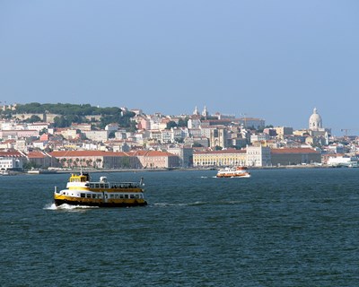 Projecto Tejo vence Prémio Marquês de Rio Maior para a Agricultura