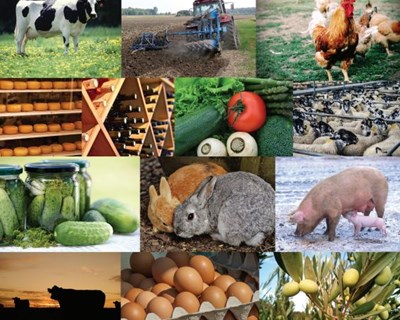 Projeto AGROSMARTcoop na AgroSemana 2017