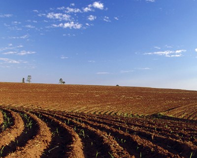 Projeto do cadastro registou mais de 7100 pedidos para georreferenciação de 16 mil terrenos