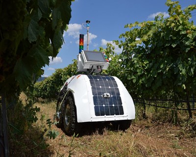 Projeto europeu de “robô da vinha” regressa ao Douro