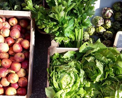 Projeto FUTURAGRI inicia o seu roteiro de visitas a Mercados Municipais em Coimbra