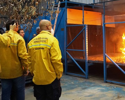 Projeto internacional liderado pela UC conquista 10 milhões de euros para estudo de grandes incêndios florestais