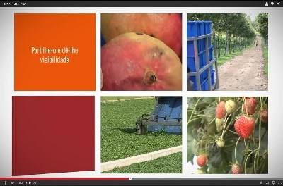 Vídeo: Promoção da Iniciativa Rural.mov