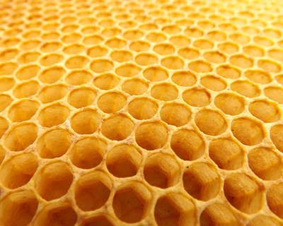 Própolis e conservação de frutos: um valor acrescentado
