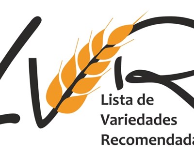 Publicada a Lista de Variedades Recomendadas de Trigo Mole e Trigo Duro