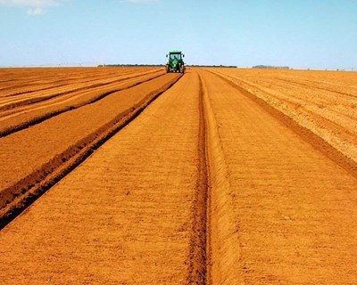 Publicado relatório sobre a avaliação e contributo dos PDR para o setor agrícola