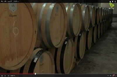 Vídeo: Quinta do Piloto