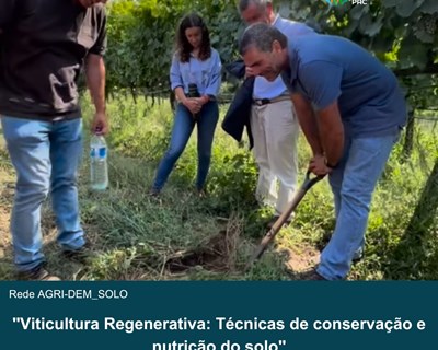 Rede AGRI-DEM_SOLO promove a partilha de boas práticas para melhorar a qualidade do solo