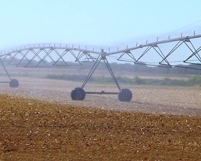 Rede de rega vai chegar aos agricultores de Óbidos em setembro