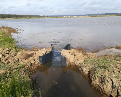 Rega do arroz por alagamento intermitente: avaliação de campo na Beira Litoral - bibliografia