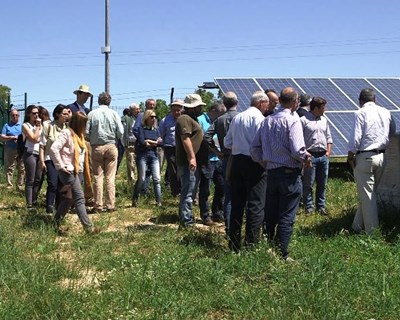 Regantes pedem apoios ao investimento em energias limpas