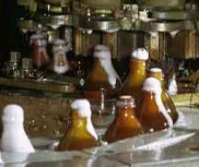 Resíduos de cerveja podem ser aproveitados para regenerar ossos