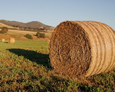 Reunião de Primavera da SPPF já tem programa