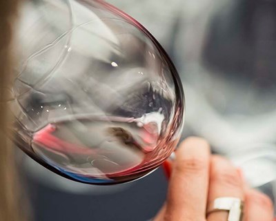Rio de Janeiro e São Paulo vão receber vinho português