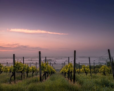 “Riscos climáticos aplicados à Agricultura” é tema de curso em Coimbra
