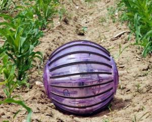 Robot esférico para inspecionar Explorações Agrícolas